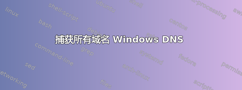 捕获所有域名 Windows DNS