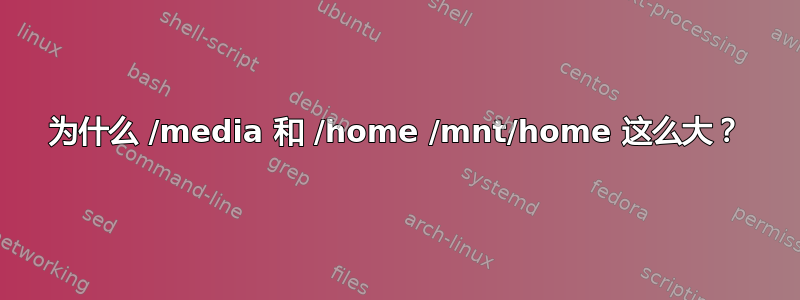 为什么 /media 和 /home /mnt/home 这么大？