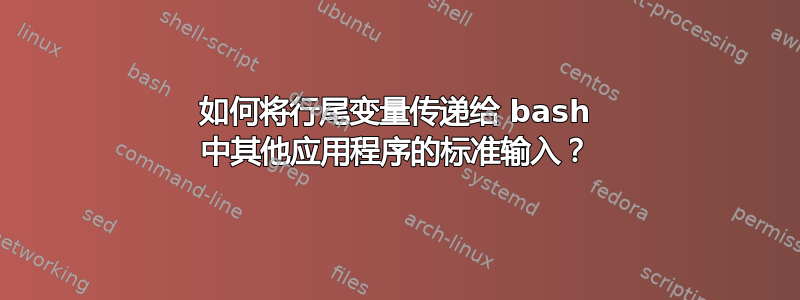 如何将行尾变量传递给 bash 中其他应用程序的标准输入？