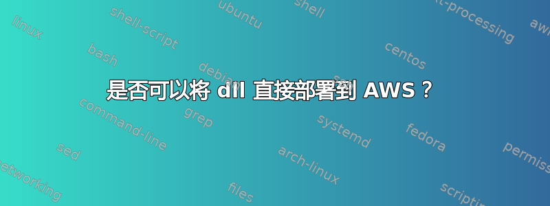 是否可以将 dll 直接部署到 AWS？