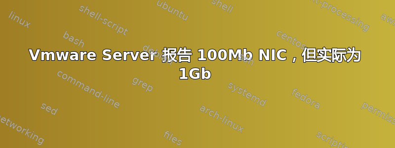 Vmware Server 报告 100Mb NIC，但实际为 1Gb