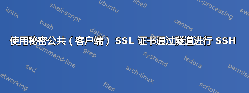 使用秘密公共（客户端） SSL 证书通过隧道进行 SSH