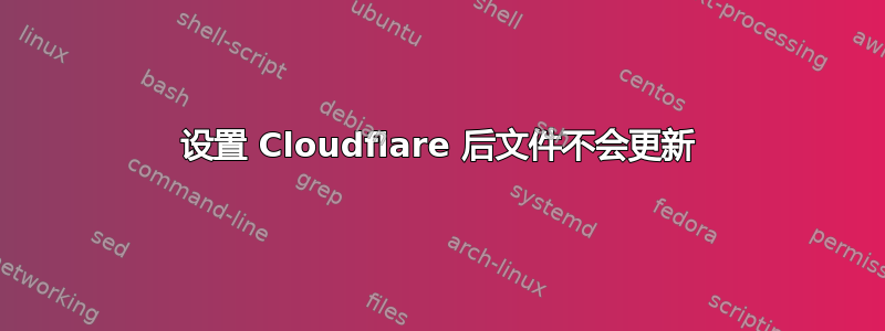 设置 Cloudflare 后文件不会更新