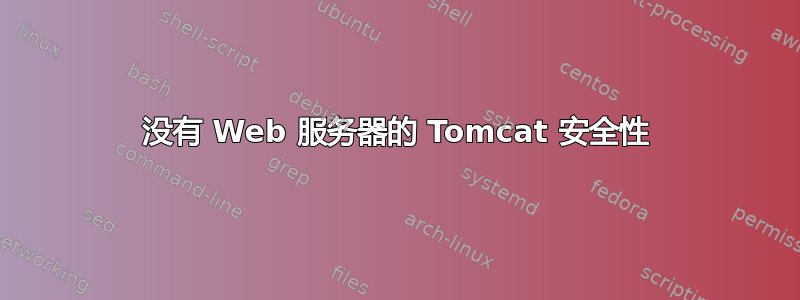 没有 Web 服务器的 Tomcat 安全性