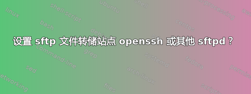 设置 sftp 文件转储站点 openssh 或其他 sftpd？