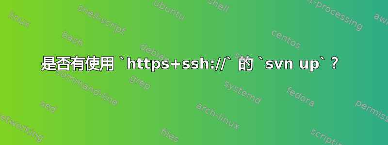 是否有使用 `https+ssh://` 的 `svn up`？