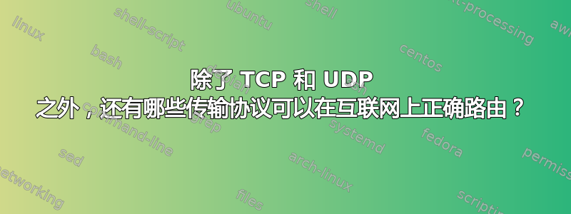 除了 TCP 和 UDP 之外，还有哪些传输协议可以在互联网上正确路由？