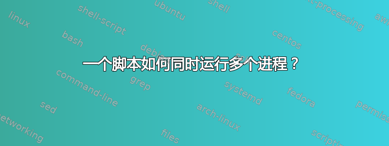 一个脚本如何同时运行多个进程？