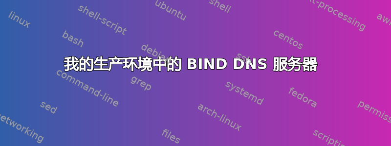 我的生产环境中的 BIND DNS 服务器 