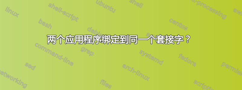 两个应用程序绑定到同一个套接字？