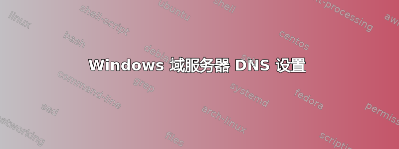 Windows 域服务器 DNS 设置