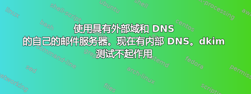 使用具有外部域和 DNS 的自己的邮件服务器。现在有内部 DNS。dkim 测试不起作用