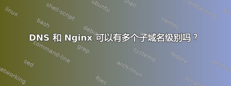 DNS 和 Nginx 可以有多个子域名级别吗？