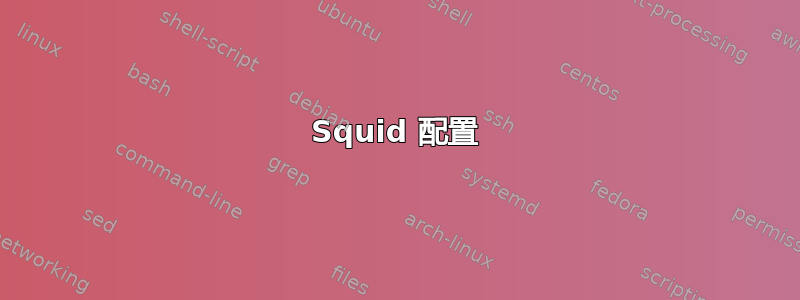 Squid 配置