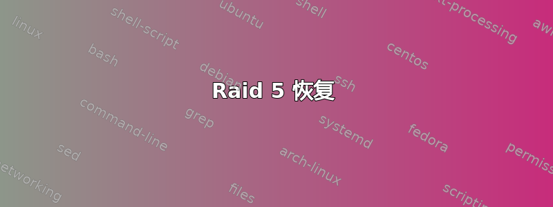 Raid 5 恢复