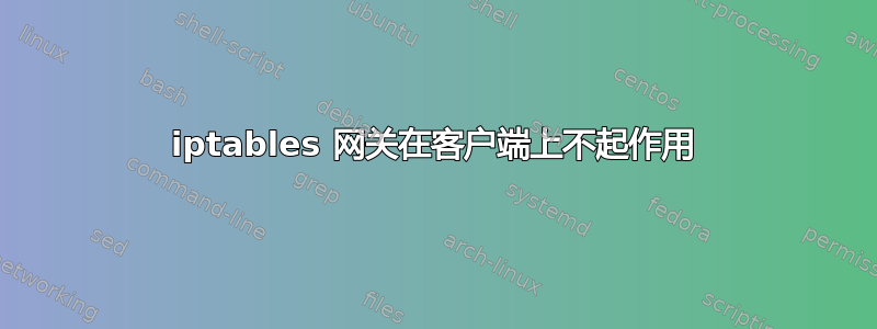 iptables 网关在客户端上不起作用