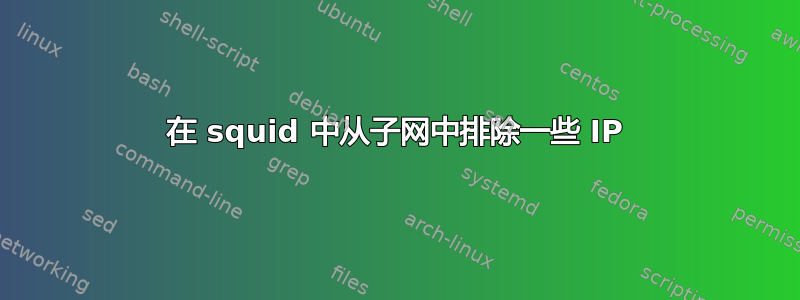 在 squid 中从子网中排除一些 IP