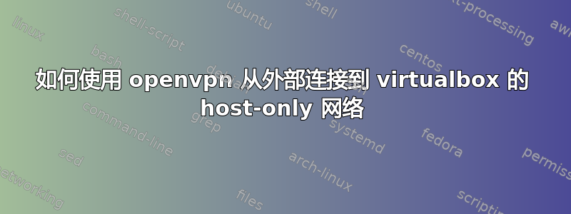 如何使用 openvpn 从外部连接到 virtualbox 的 host-only 网络