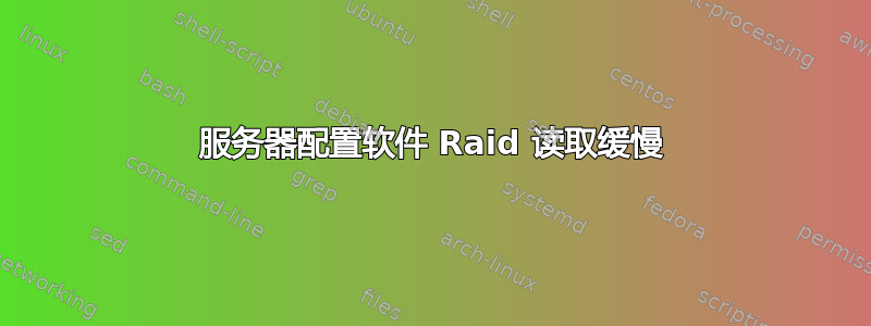 服务器配置软件 Raid 读取缓慢