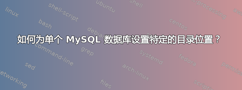 如何为单个 MySQL 数据库设置特定的目录位置？