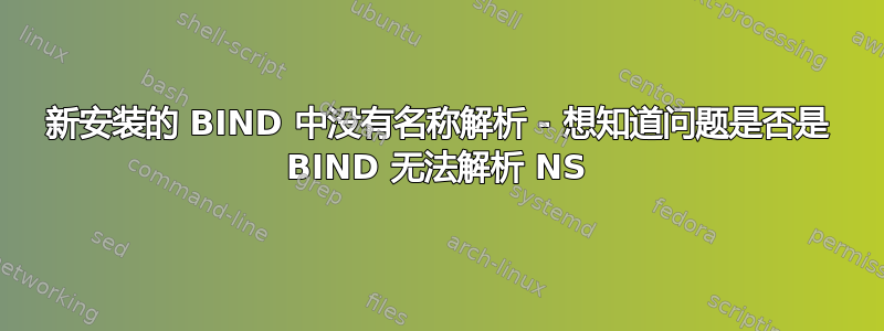 新安装的 BIND 中没有名称解析 - 想知道问题是否是 BIND 无法解析 NS