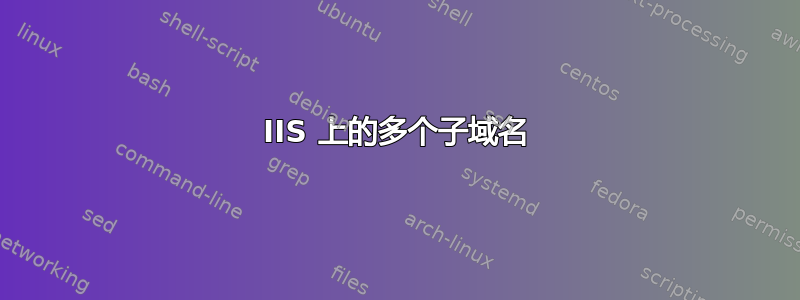 IIS 上的多个子域名