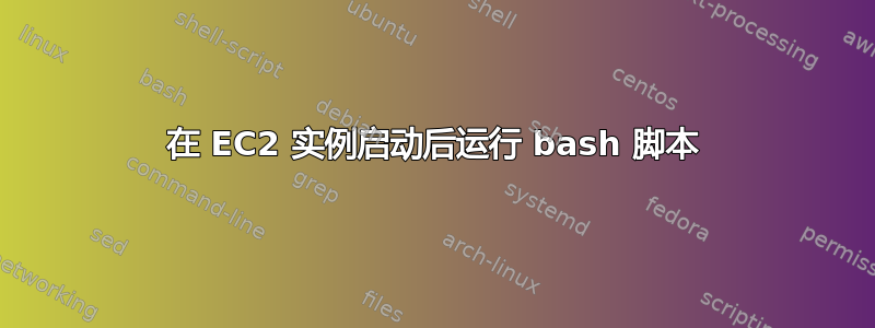 在 EC2 实例启动后运行 bash 脚本