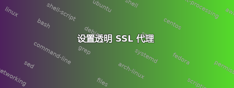 设置透明 SSL 代理