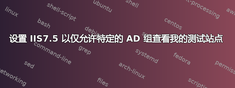 设置 IIS7.5 以仅允许特定的 AD 组查看我的测试站点