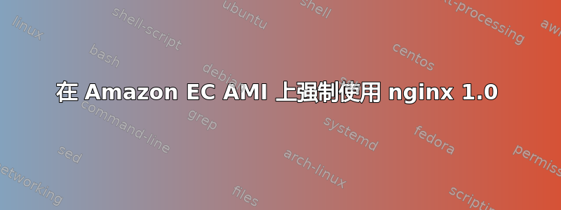 在 Amazon EC AMI 上强制使用 nginx 1.0