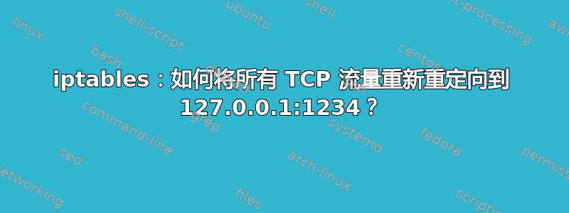 iptables：如何将所有 TCP 流量重新重定向到 127.0.0.1:1234？