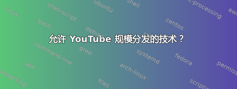 允许 YouTube 规模分发的技术？