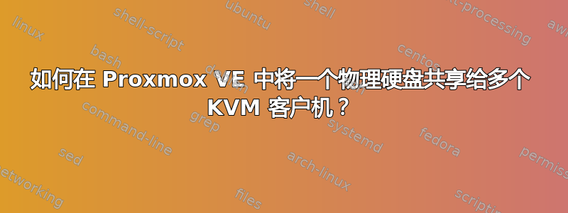 如何在 Proxmox VE 中将一个物理硬盘共享给多个 KVM 客户机？