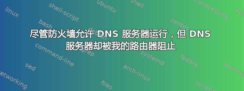 尽管防火墙允许 DNS 服务器运行，但 DNS 服务器却被我的路由器阻止