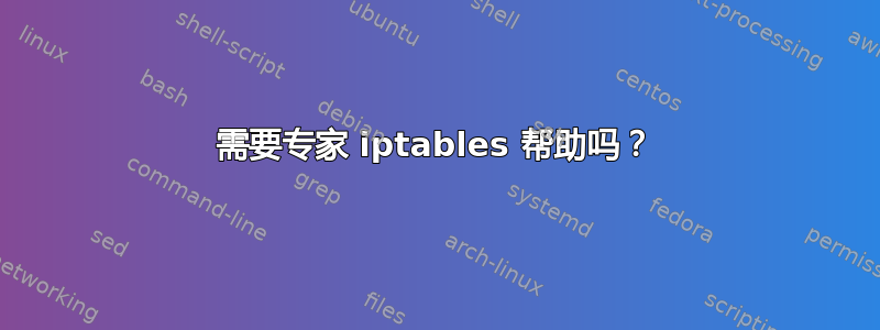 需要专家 iptables 帮助吗？