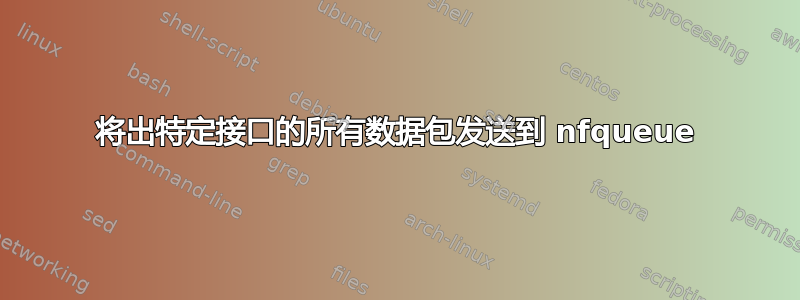 将出特定接口的所有数据包发送到 nfqueue