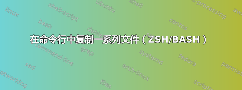 在命令行中复制一系列文件（ZSH/BASH）