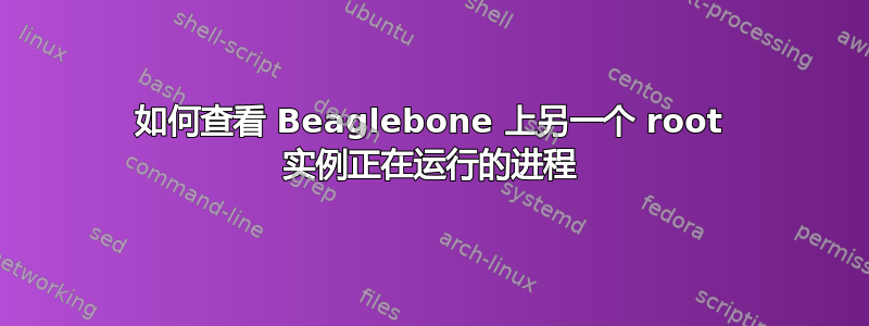 如何查看 Beaglebone 上另一个 root 实例正在运行的进程