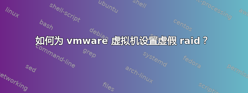 如何为 vmware 虚拟机设置虚假 raid？