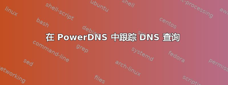 在 PowerDNS 中跟踪 DNS 查询