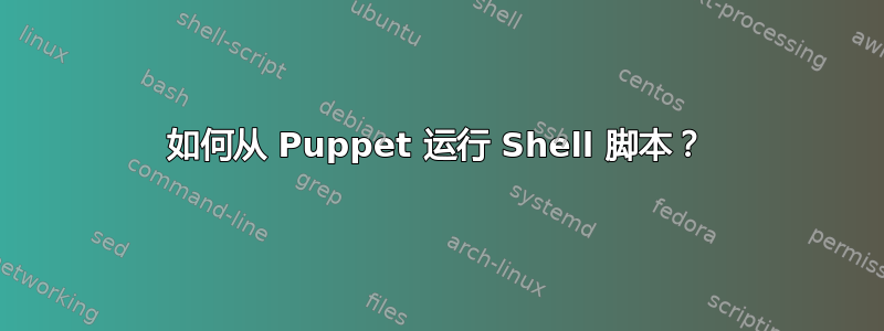 如何从 Puppet 运行 Shell 脚本？