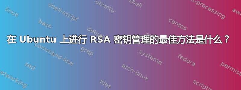 在 Ubuntu 上进行 RSA 密钥管理的最佳方法是什么？