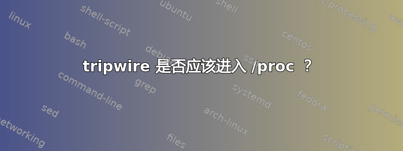 tripwire 是否应该进入 /proc ？