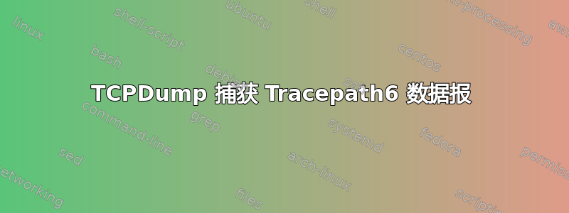 TCPDump 捕获 Tracepath6 数据报