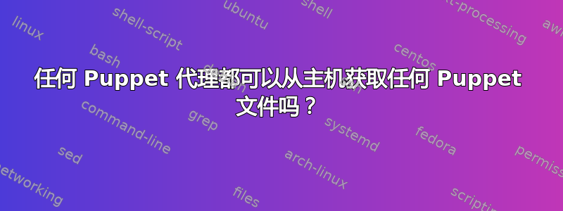 任何 Puppet 代理都可以从主机获取任何 Puppet 文件吗？