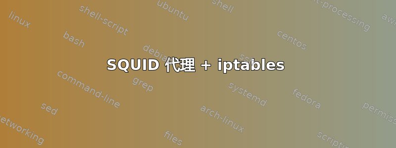 SQUID 代理 + iptables