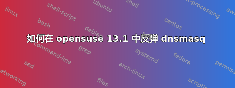 如何在 opensuse 13.1 中反弹 dnsmasq