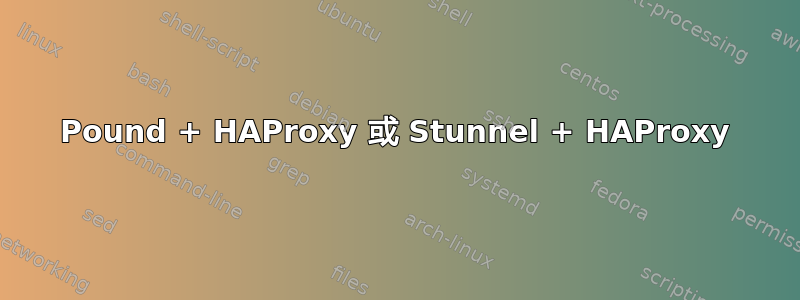 Pound + HAProxy 或 Stunnel + HAProxy