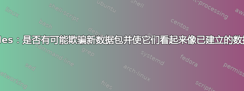 iptables：是否有可能欺骗新数据包并使它们看起来像已建立的数据包？