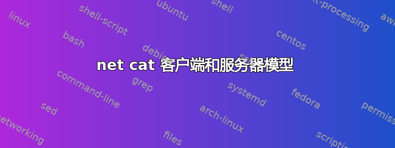 net cat 客户端和服务器模型